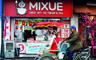 Mexico Leads the Global Bubble Tea Market
